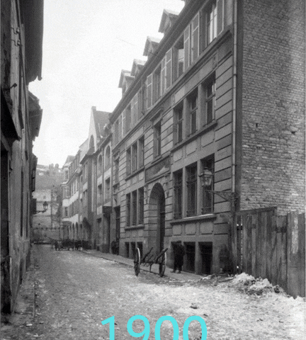 00_HannongÇaPousse